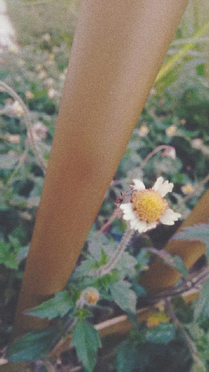 between
