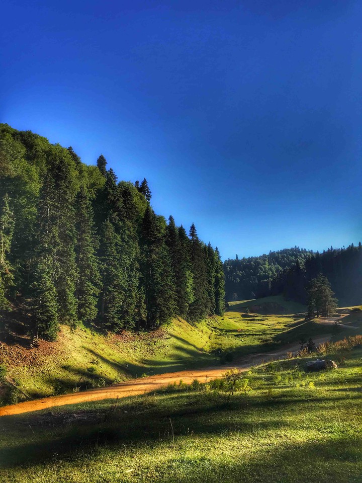 Düzce balıklı yaylası