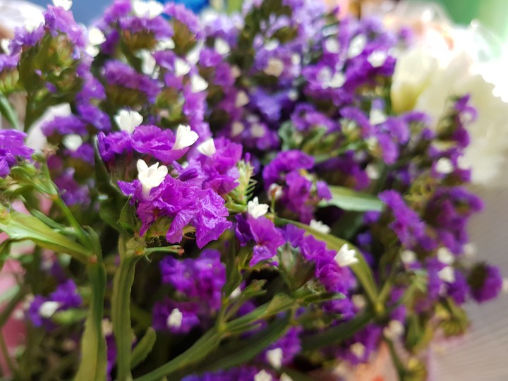 #Lovender # love # flowers#fresh