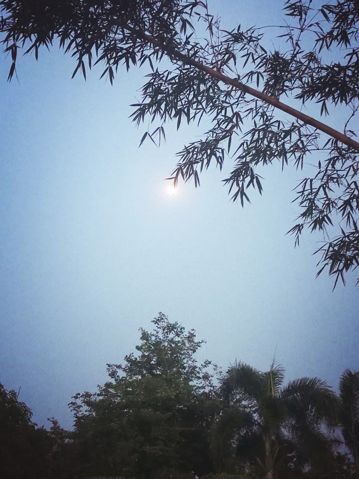 moon