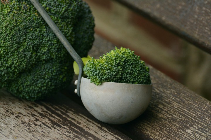 brócoli