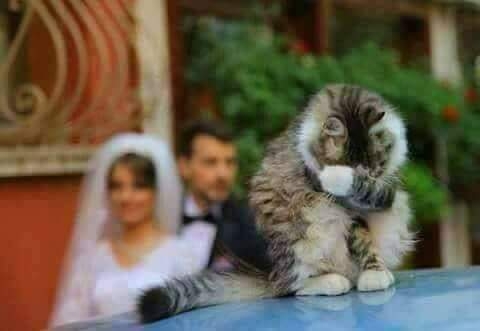 sad caty