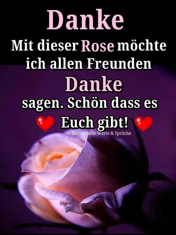 Für alle Freunde?❤?