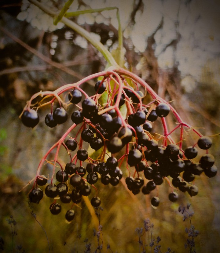 November day