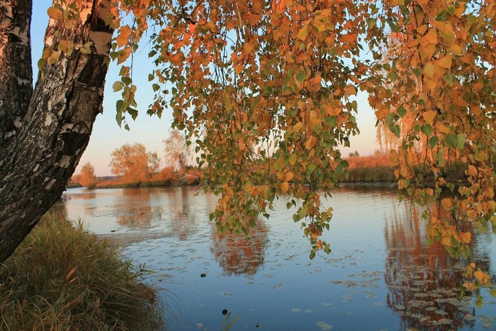красота осени