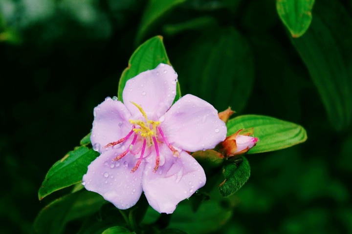 Rainning