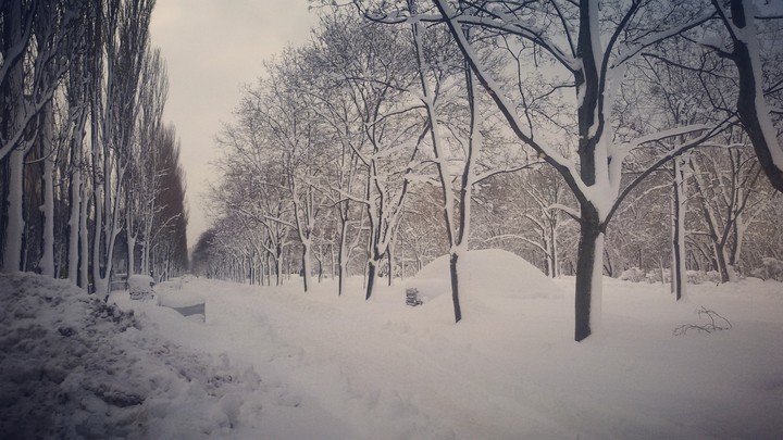 Winter