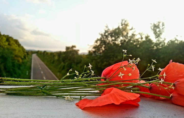•on the road•
