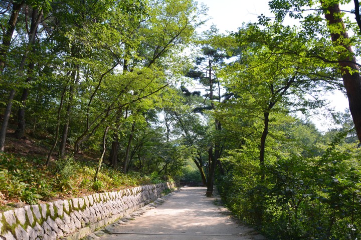풍경이미지
