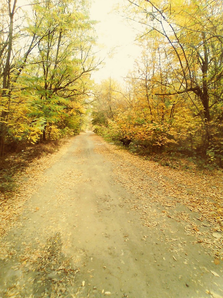 осень