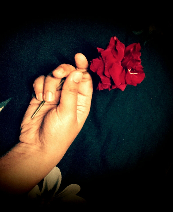 roselove