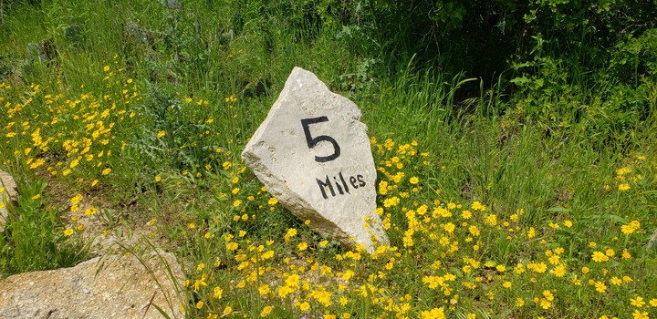 milestone