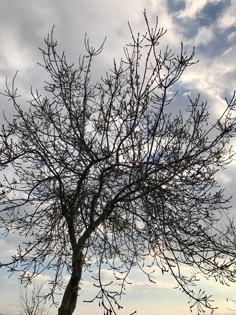Gebze/ Eskihisar