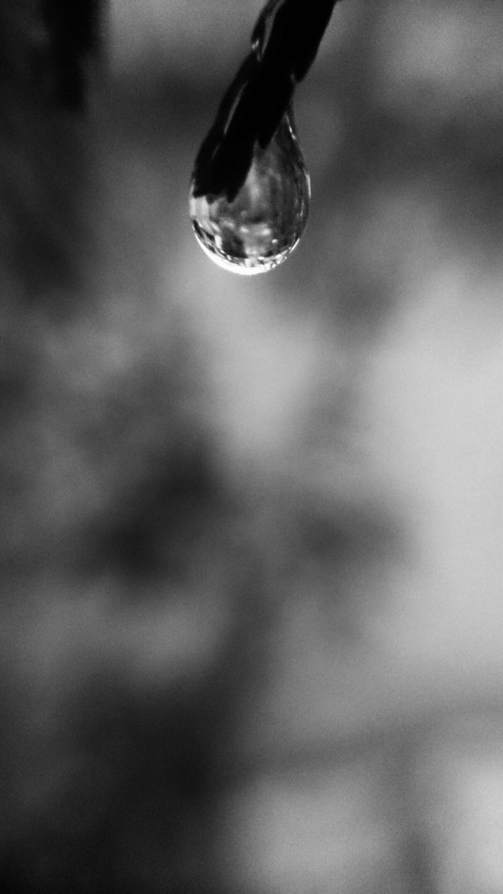 monsoon drop