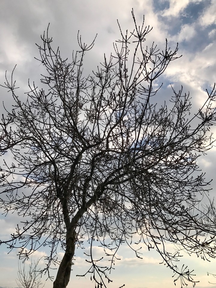 Gebze/ Eskihisar