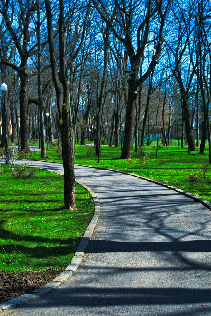 Path