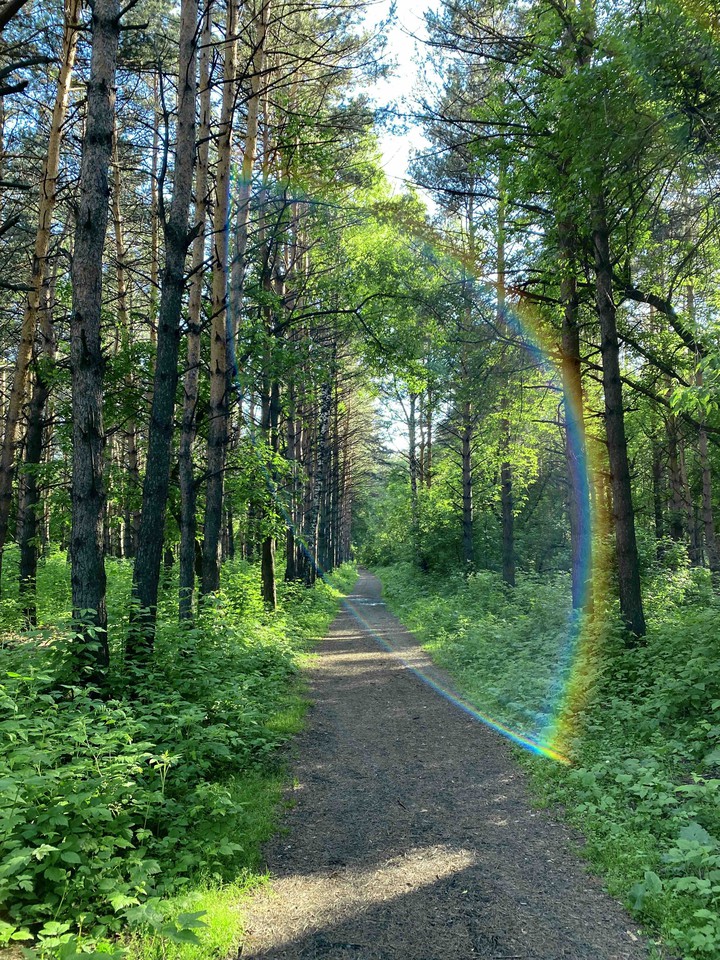 Сибирь