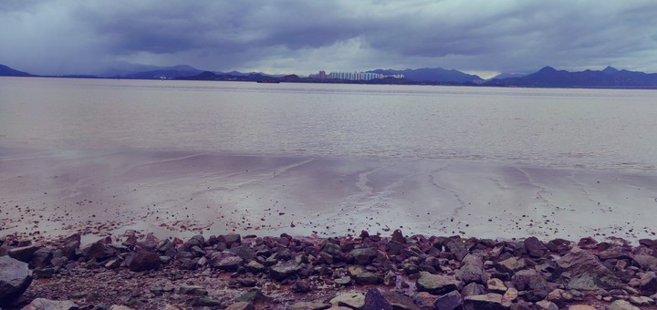 Estuary