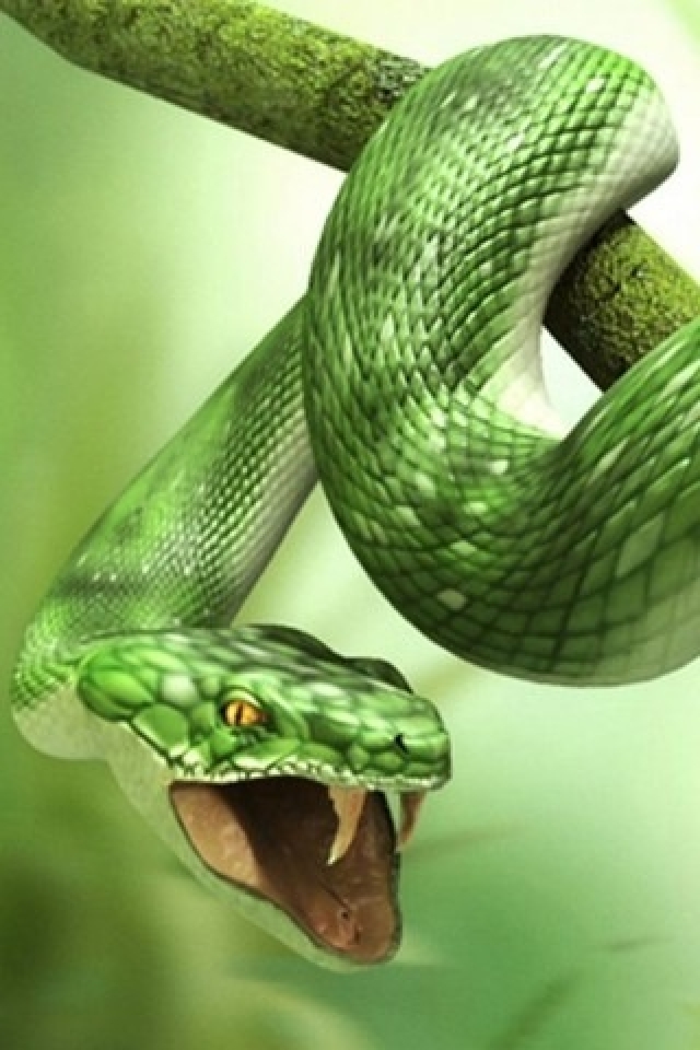 ترس