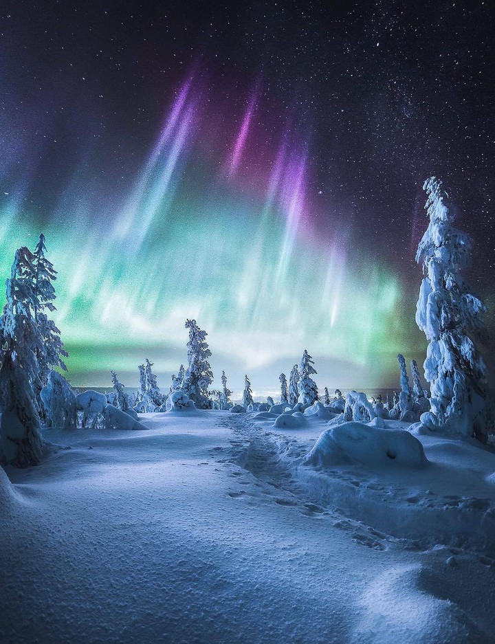 aurora