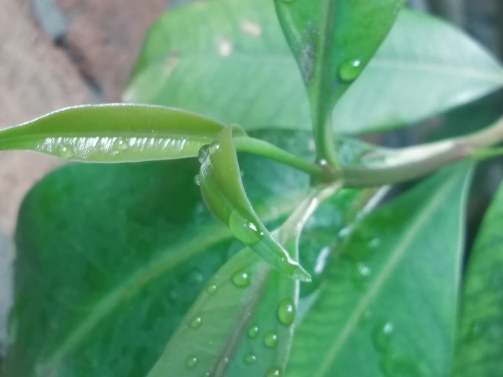 my click..
