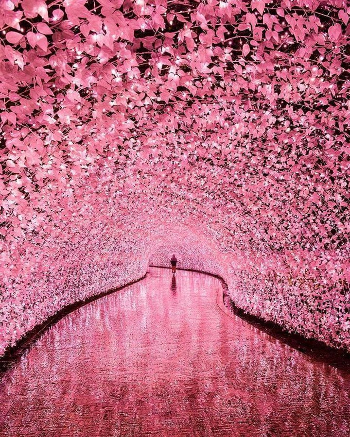 Tunel flor