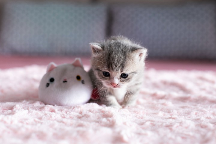 ❤