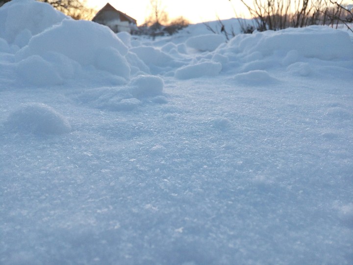 winter