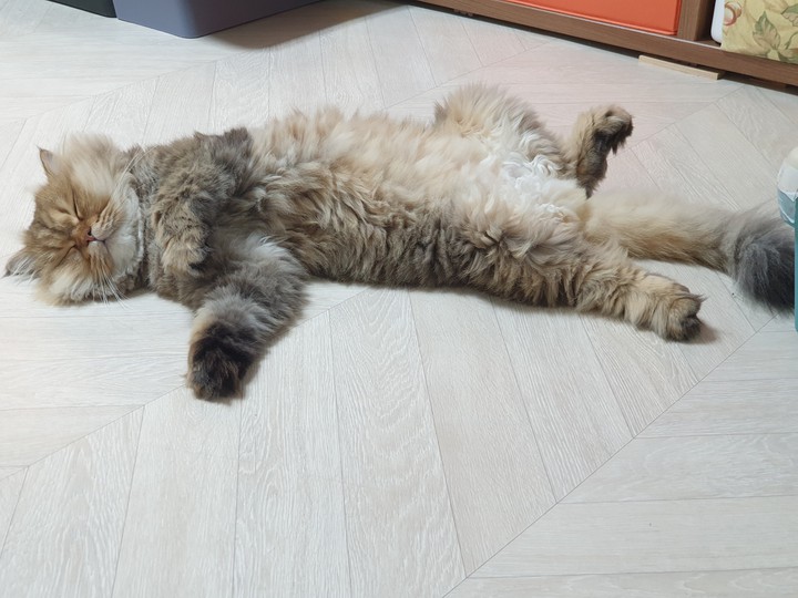 세상을 다 가진 베르