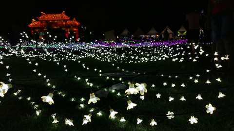Light festival