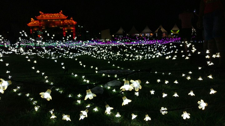 Light festival