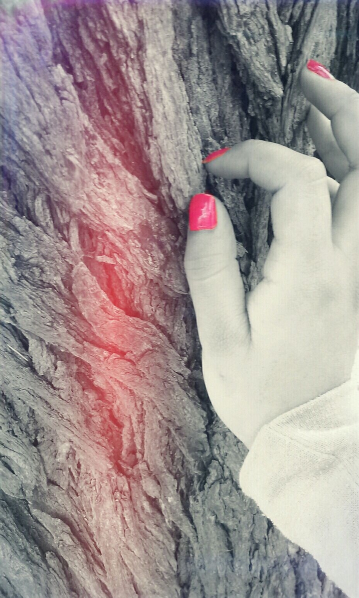 Hand Nature