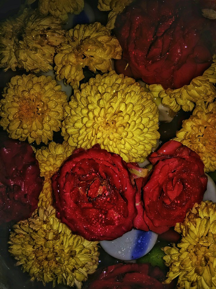 Flower flower everywhere