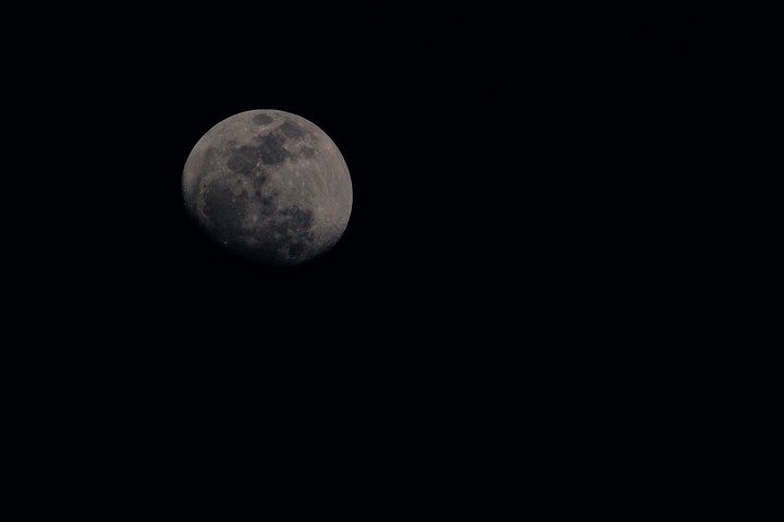 Moon