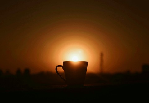 A cup of Sun