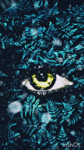 scary eye blue video wallpaper