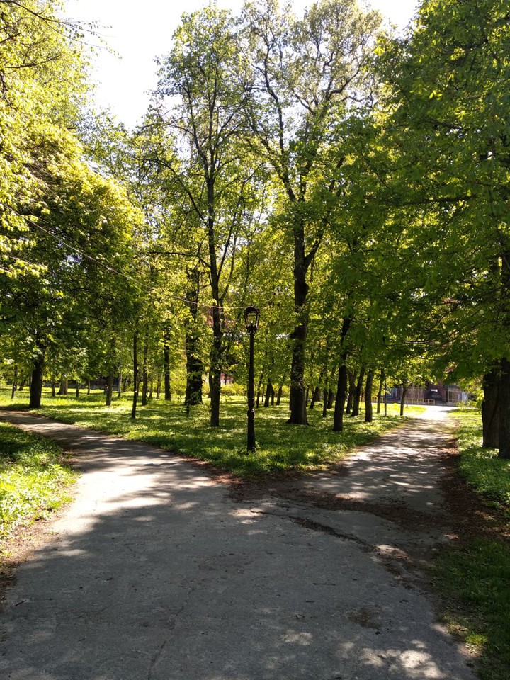 Парк