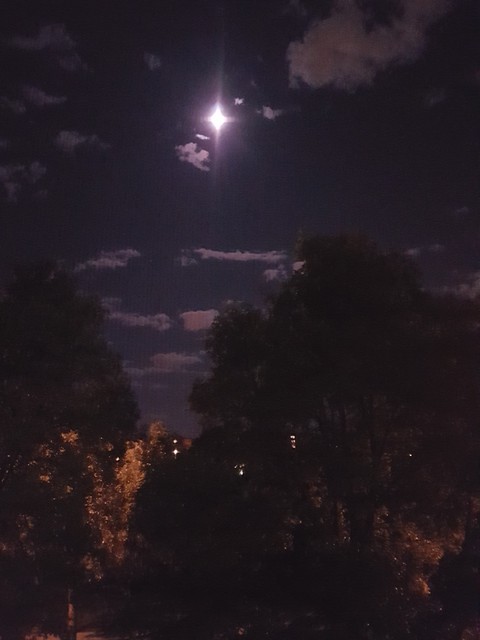 We all walk under the same moon...