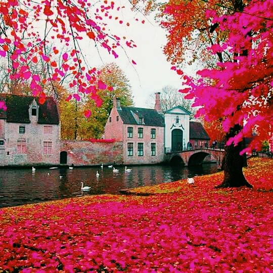 nature