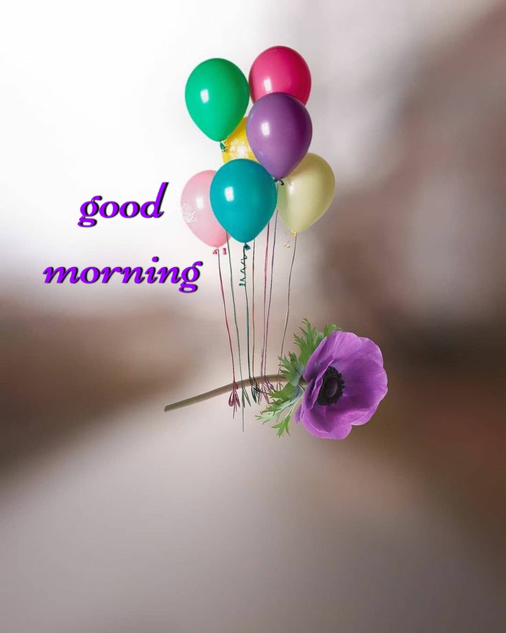 Good Morning