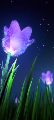 Flowers.