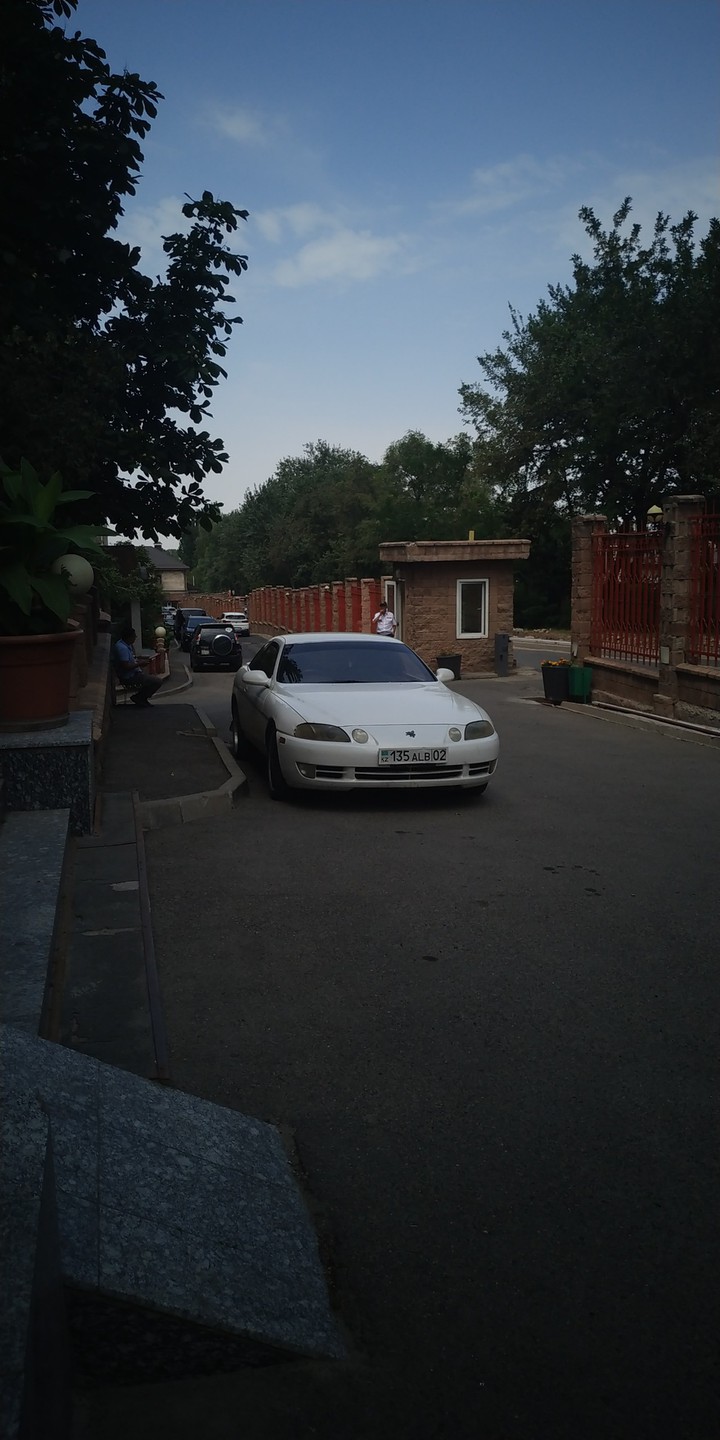 soarer