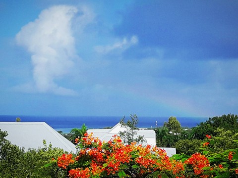 rainbow