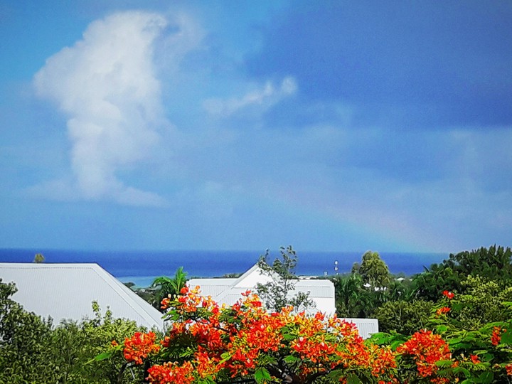rainbow