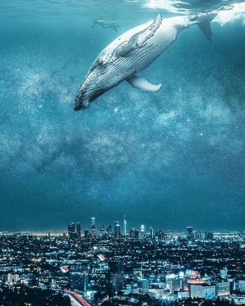 Whale in stars