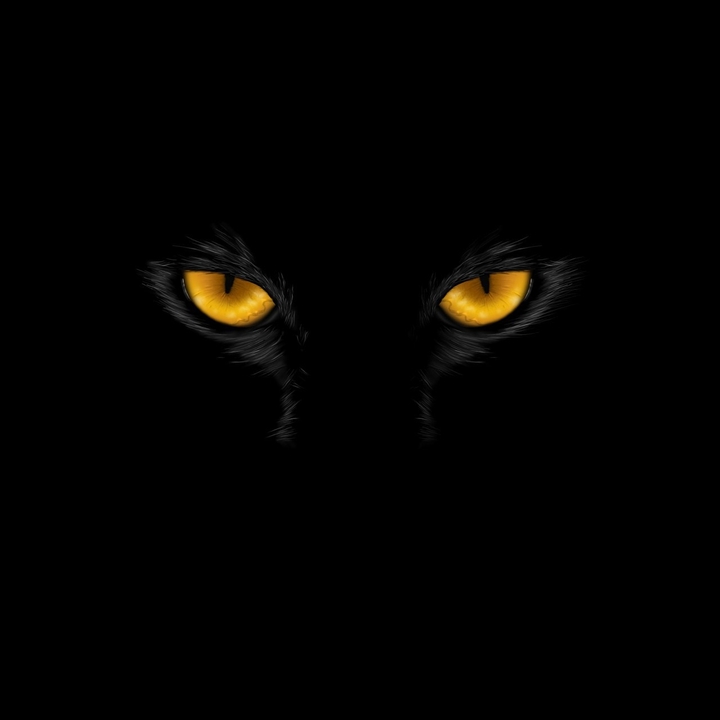 кот