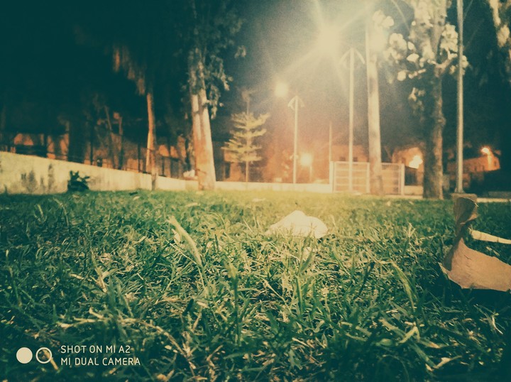 grassy