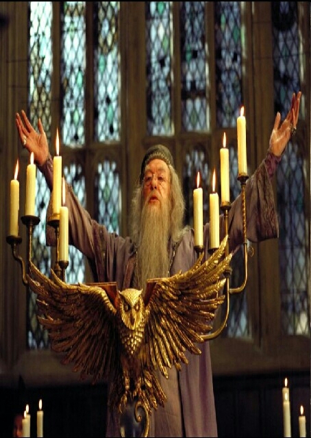 This survey is about ALBUS DAMBELDORE