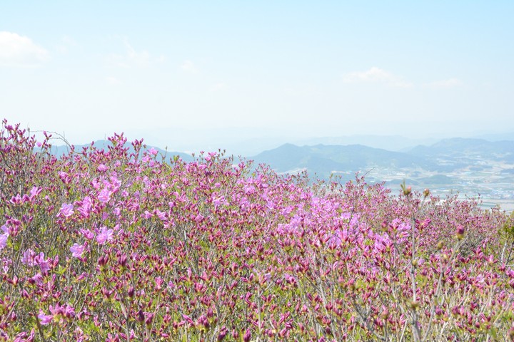 지리산이미지
