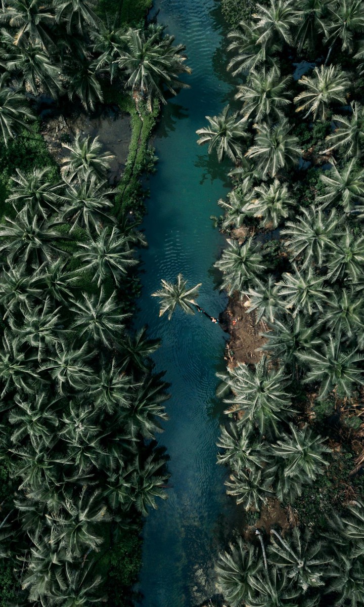 ariel view